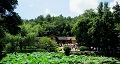 長(zhǎng)沙出發(fā)到花明樓、韶山、張家界國(guó)家森林公園、天門(mén)仙山國(guó)家森林公園四日游