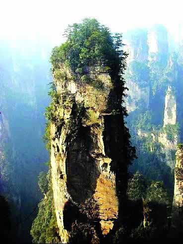 張家界國(guó)家地質(zhì)森林公園、黃石寨、金鞭溪休閑一日游