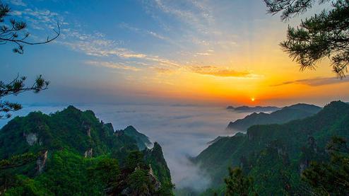 張家界森林公園（金鞭溪、袁家界、楊家界、天子山、十里畫廊）住山上2天1游（可看日出）